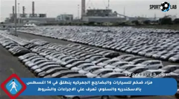 مزاد ضخم للسيارات والبضائع الجمركية ينطلق في 14 أغسطس بالإسكندرية والسلوم: تعرف على الإجراءات والشروط